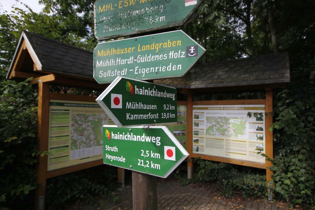 Hainich-Zeit Rodeberg 外观 照片