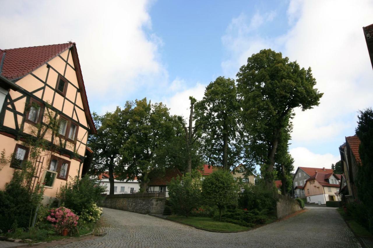 Hainich-Zeit Rodeberg 外观 照片